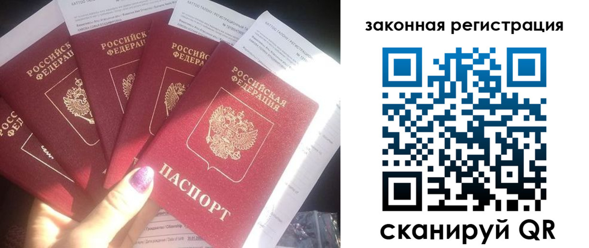 временная регистрация гарантия в Сольцах